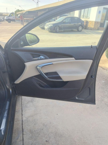 GUARNECIDO PUERTA DELANTERA DERECHA Opel Insignia Berlina (2008->) Opel Insignia Berlina (2008->) 