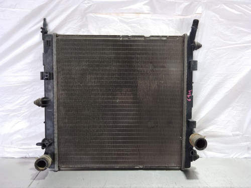 RADIADOR AGUA Citroen C3 
