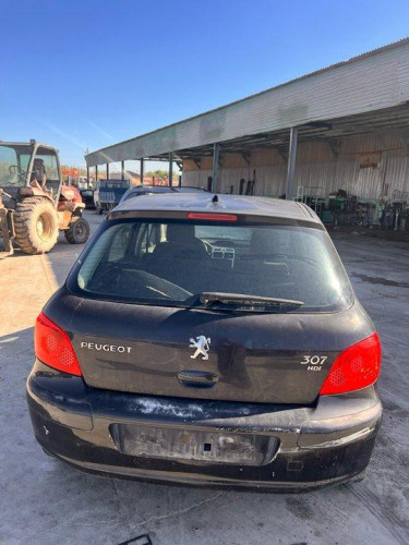  PEUGEOT 307 BERLINA (S2) 