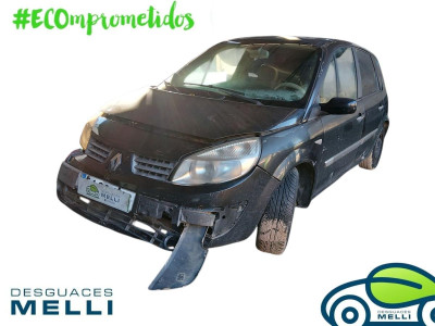 RENAULT SCENIC II (JM)
