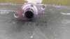 BOMBA FRENO TOYOTA RAV4 (A4) 