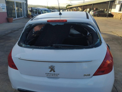 PORTON TRASERO Peugeot 308 (2007->) PEUGEOT 308 (2007->) 