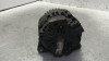 ALTERNADOR, CITROEN, C4 PICASSO
