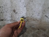 MODULO ELECTRONICO 