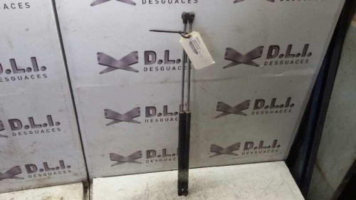 AMORTIGUADORES CAPO PEUGEOT 106 (S2) 