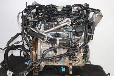 MOTOR COMPLETO, FORD, C-MAX (CEU)