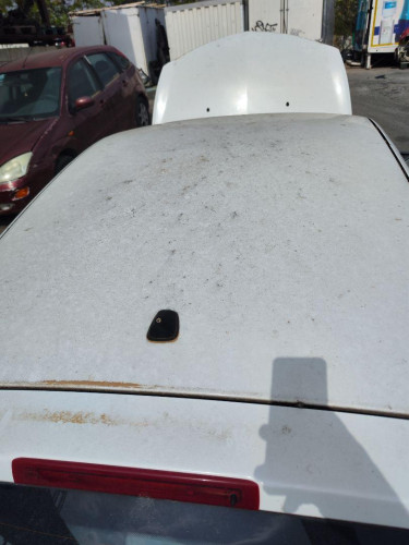 TECHO Renault CLIO III 