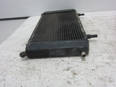 RADIADOR AGUA, JAGUAR, XJ
