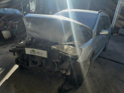 PEUGEOT 307 BREAK / SW (S1)(04.2002)