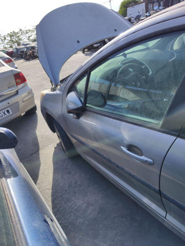 PUERTA DELANTERA IZQUIERDA Peugeot 207 