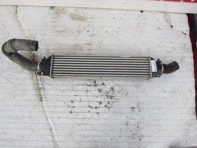 INTERCOOLER, LANCIA, DELTA (181)