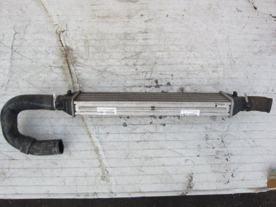 INTERCOOLER, LANCIA, DELTA (181)