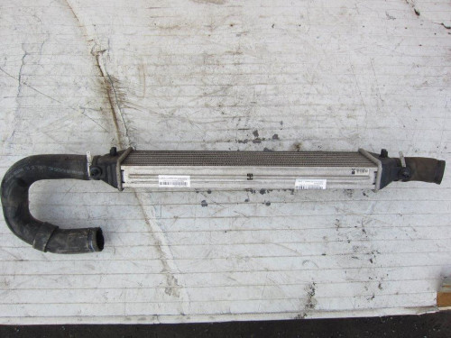  INTERCOOLER LANCIA DELTA (181) 