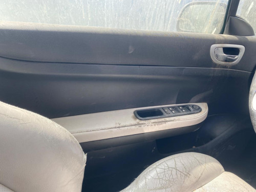 GUARNECIDO PUERTA DELANTERA IZQUIERDA Peugeot 307 CC CABRIO-COUPÉ (S2) 