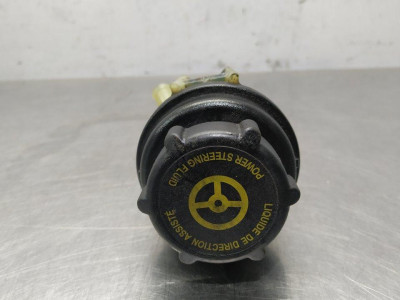 DEPOSITO SERVO, FORD, S-MAX (CA1)