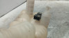  DEPOSITO EXPANSION LAND ROVER RANGE ROVER EVOQUE 