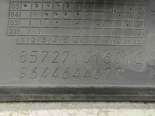 MOLDURA PARAGOLPE DELANTERA IZQUIERDA Peugeot 407 