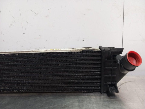  INTERCOOLER, FORD, S-MAX (CA1) 