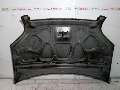 CAPO, FORD, FUSION (CBK)