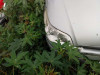  CITROEN C4 COUPE 