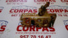  CERRADURA PUERTA TRASERA DERECHA 