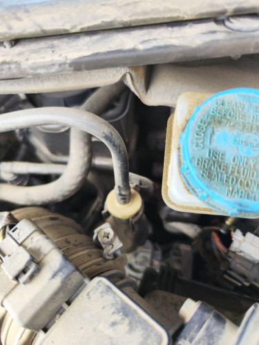 SERVOFRENO NISSAN PRIMERA BERLINA (P12) 