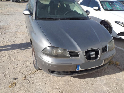 SEAT IBIZA (6L1)