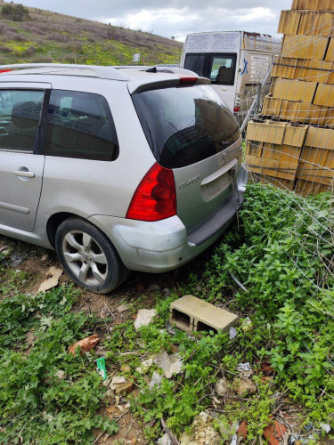  PEUGEOT 307 BREAK/ SW (S2) 