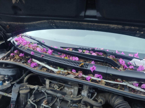 BRAZO LIMPIA DELANTERO DERECHO Toyota COROLLA (E15) 