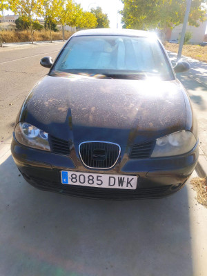SEAT IBIZA (6L1)