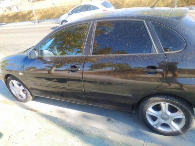 SEAT IBIZA (6L1)