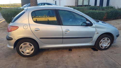  Peugeot 206 (1998->) SIN IDENTIFICAR 