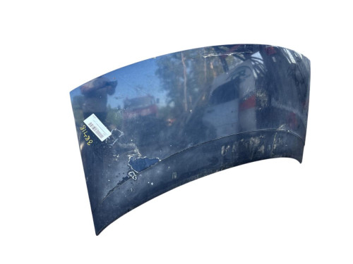 CAPO VOLKSWAGEN SHARAN (7M8) 