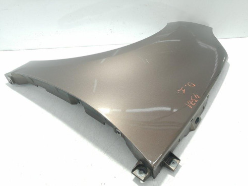  ALETA DELANTERA IZQUIERDA RENAULT SCENIC III (JZ) 