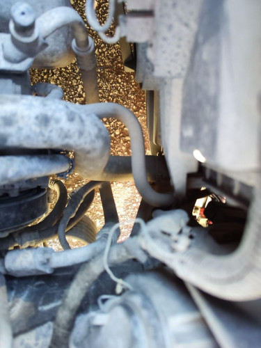 CLAXON, ALFA ROMEO, 147 (190)