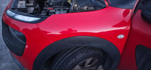 NO IDENTIFICADO, CITROEN, C4 CACTUS