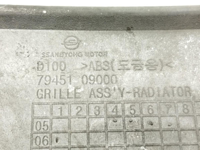 REJILLA DELANTERA, SSANGYONG, KYRON
