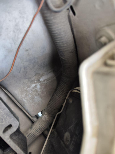 CLAXON, FORD, FOCUS FAMILIAR (CAK)