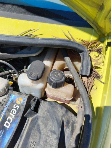  DEPOSITO EXPANSION, RENAULT, TWINGO I (C06) 