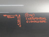  PUERTA TRASERA IZQUIERDA OPEL ANTARA 