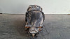DIFERENCIAL TRASERO Mercedes-Benz CLASE E (BM 211) BERLINA 