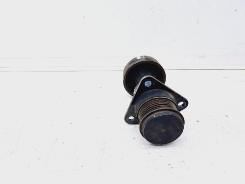 POLEA ALTERNADOR Ford FOCUS C-MAX (CAP)(2003) 