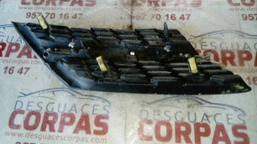REJILLA PARAGOLPES IZQUIERDA Toyota RAV4 (A3) 