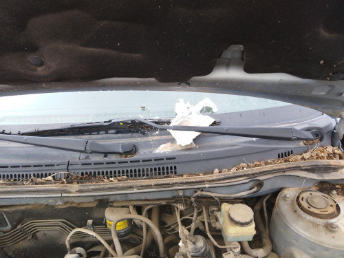 BRAZO LIMPIA DELANTERO IZQUIERDO Toyota COROLLA (E12) 