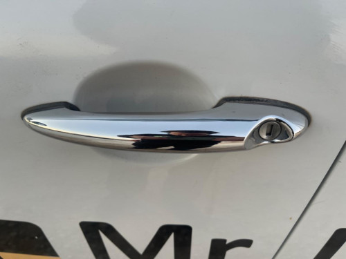 MANETA EXTERIOR DELANTERA IZQUIERDA BMW MINI COUNTRYMAN (R60) 
