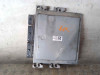 CENTRALITA MOTOR UCE RENAULT SCENIC III (JZ) 