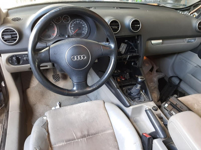 AUDI A3 (8P1)