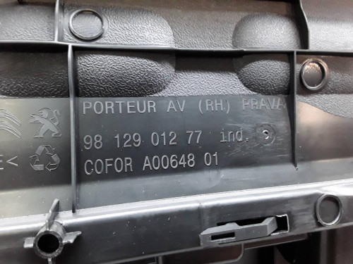 GUARNECIDO PUERTA DELANTERA DERECHA Citroen C3 
