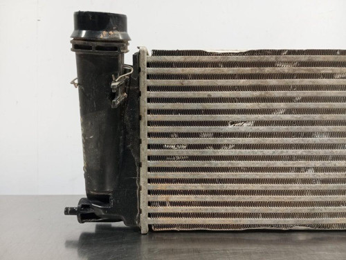  INTERCOOLER, NISSAN, QASHQAI (J11E) 