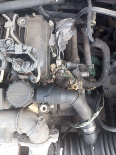 MOTOR COMPLETO FORD FOCUS BERLINA (CAP) 